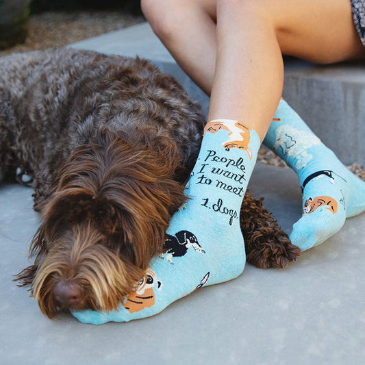 HODEANG People To Meet: Dogs Socks